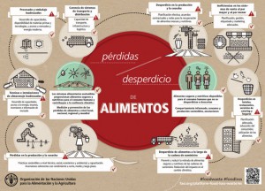 infografia_fao_perdida_alimentos