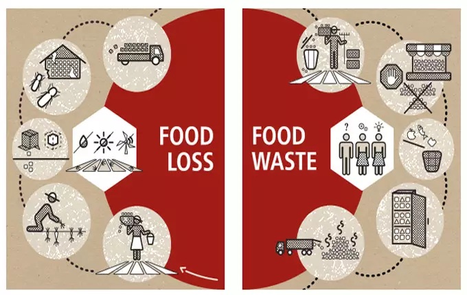 Infografía sobre la pérdida y el desperdicio de alimentos