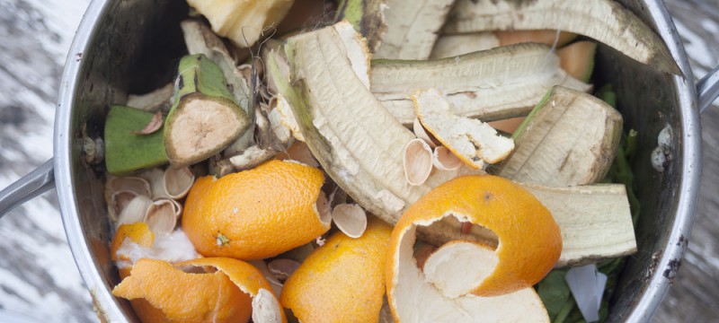 Mesa redonda «Pérdidas y desperdicio de alimentos»