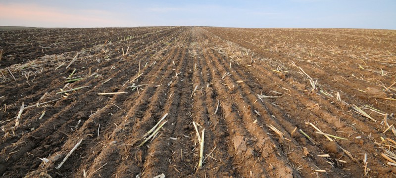 Análisis del Actual Despilfarro de Alimentos y sus Consecuencias Ambientales