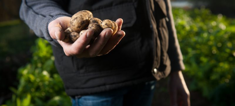 El sector agrario pasa a la acción contra el desperdicio alimentario