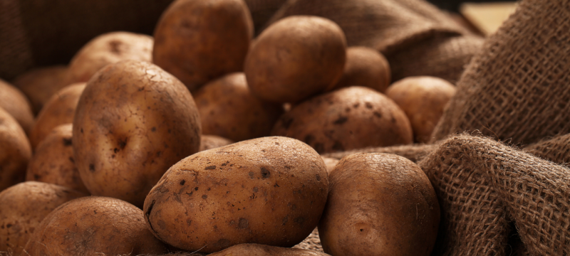 ¿Cómo conservar las patatas de forma correcta?