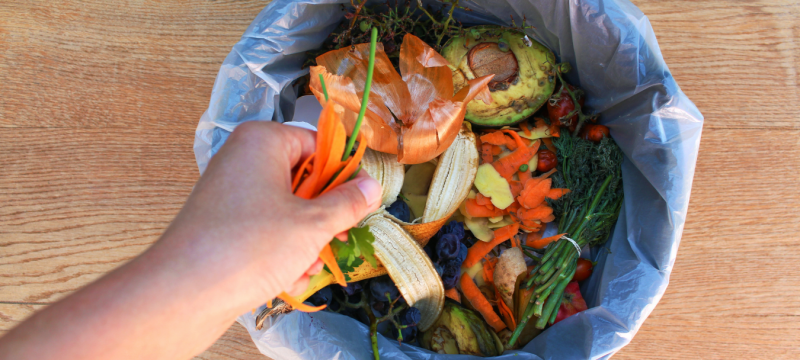 10 consejos para evitar el desperdicio alimentario en verano