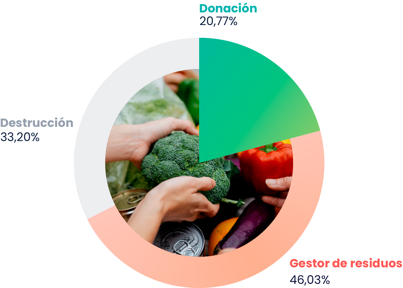 Radiografía del Desperdicio Alimentario en España